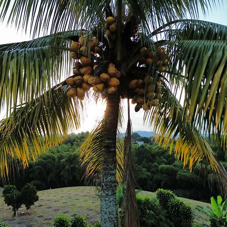 Finca Hotel Los Cocos มอนเตเนโกร ภายนอก รูปภาพ