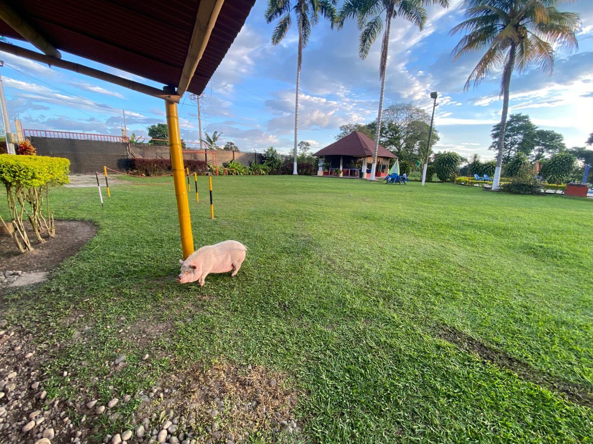 Finca Hotel Los Cocos มอนเตเนโกร ภายนอก รูปภาพ